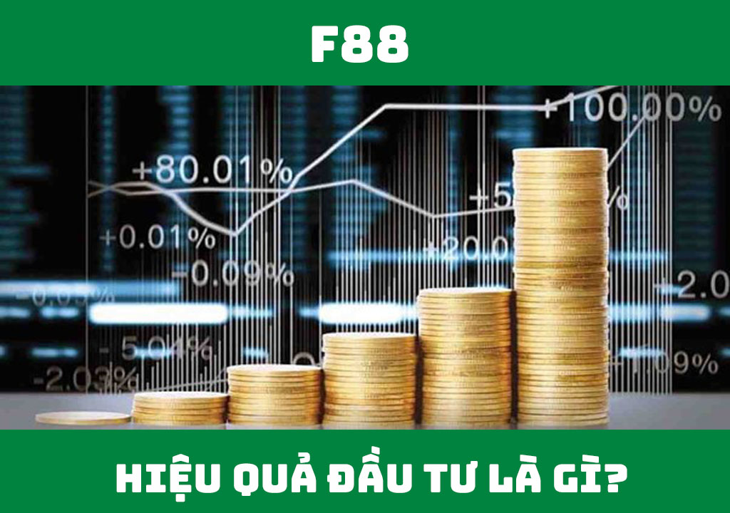 Hiệu quả đầu tư là gì?