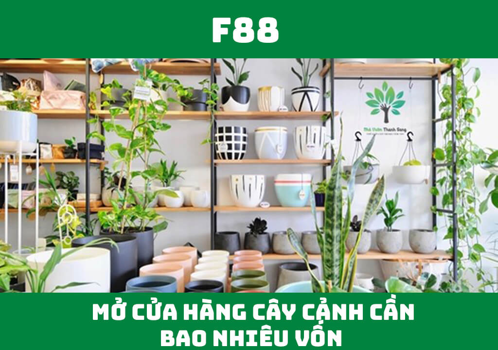 Mở cửa hàng cây cảnh cần bao nhiêu vốn?