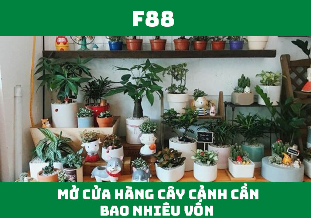 Mở cửa hàng cây cảnh cần bao nhiêu vốn?