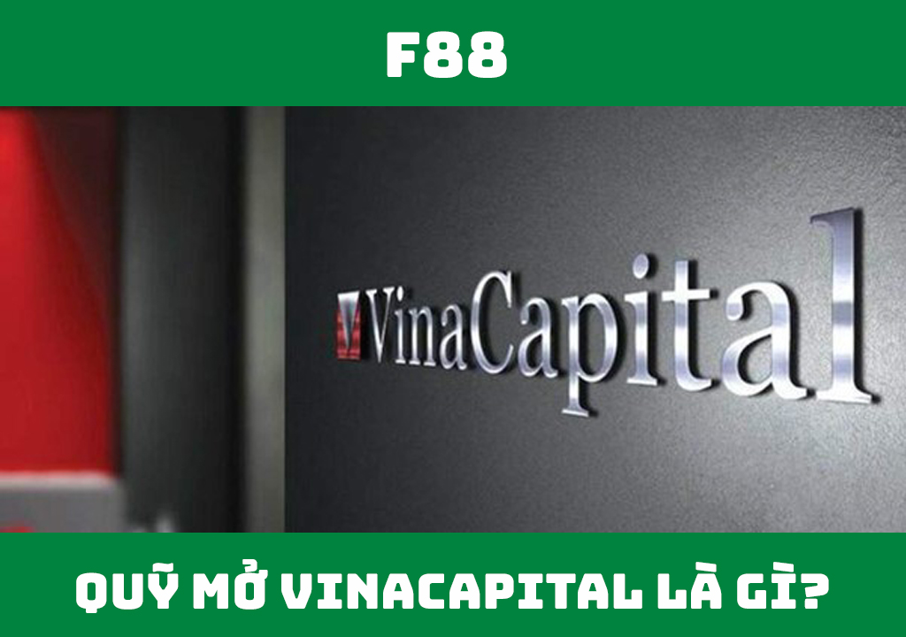 Quỹ mở VinaCapital là gì?