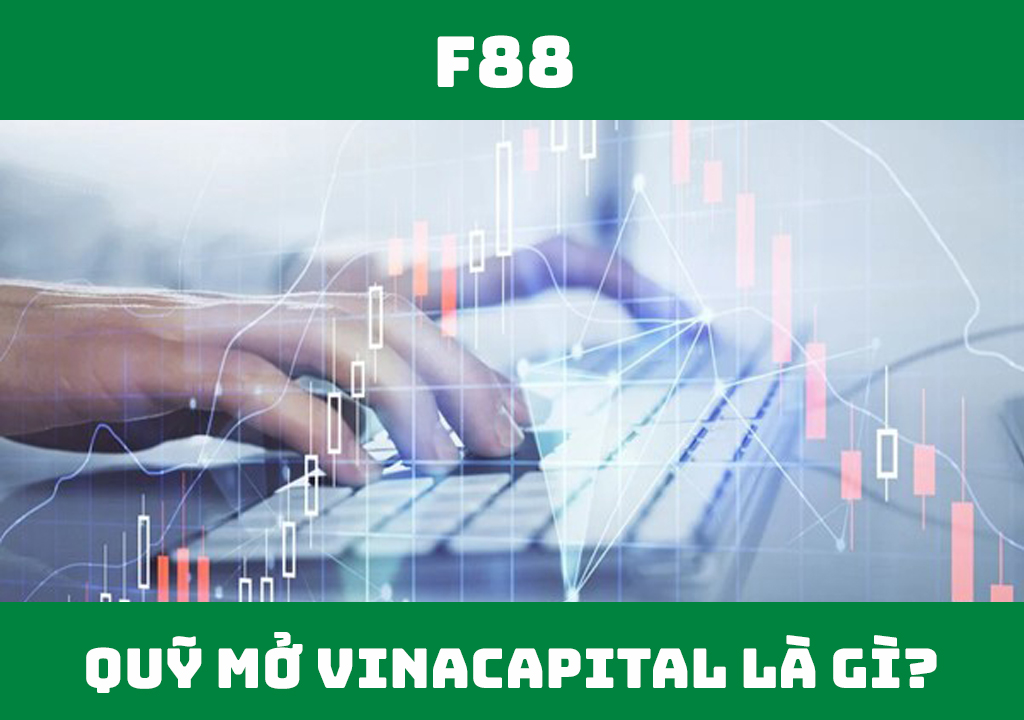 Quỹ mở VinaCapital là gì?