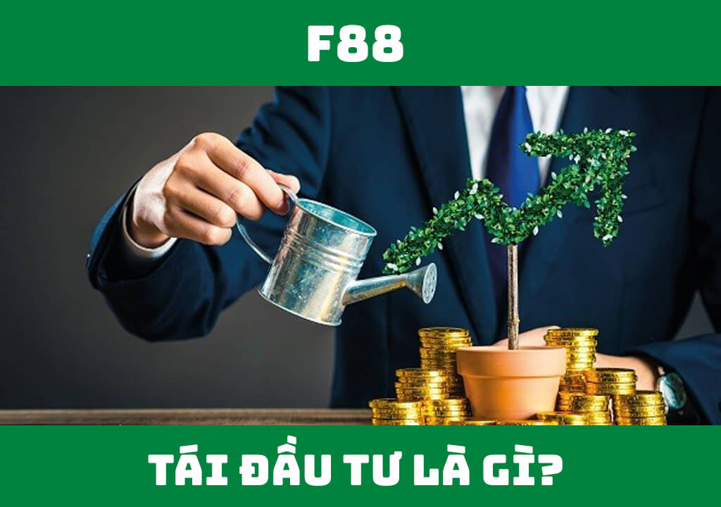 Tái đầu tư là gì?