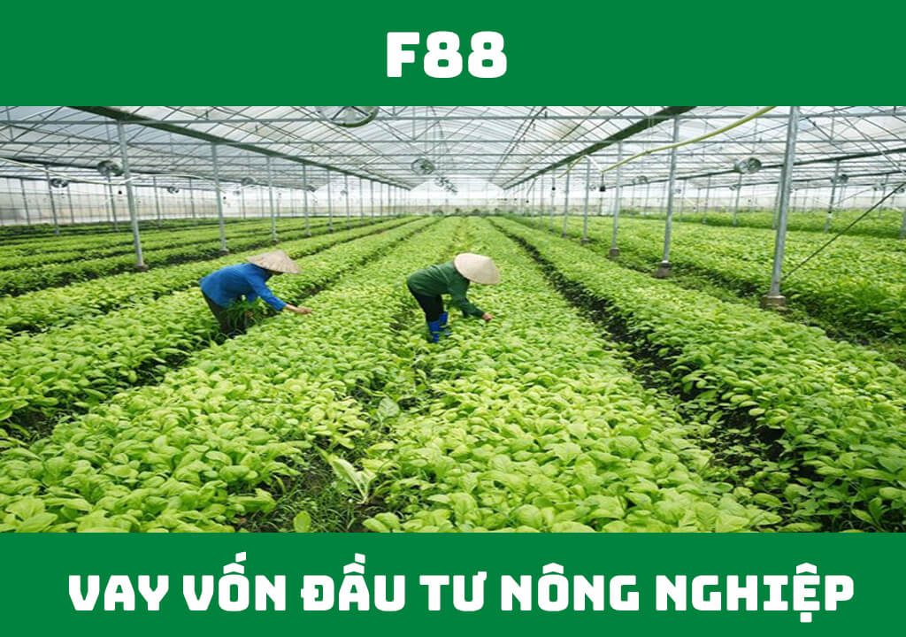 Vay vốn đầu tư nông nghiệp