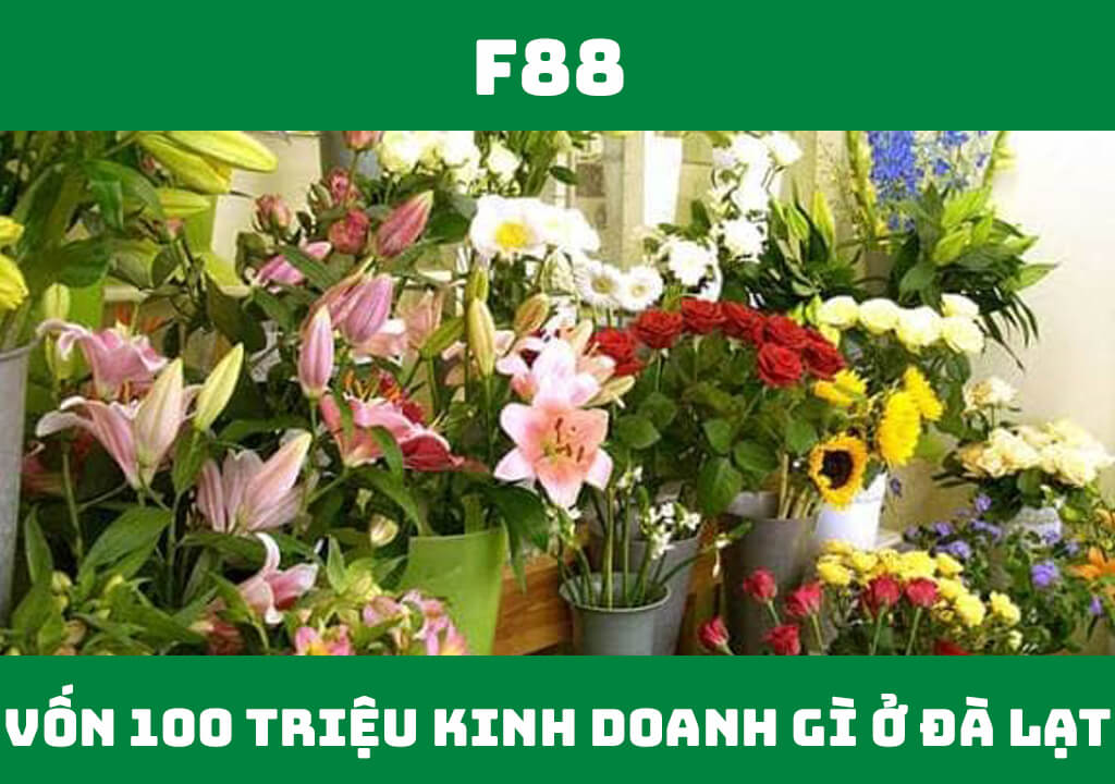 Vốn 100 triệu kinh doanh gì ở Đà Lạt?