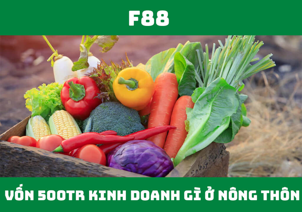 Vốn 500 triệu kinh doanh gì ở nông thôn?