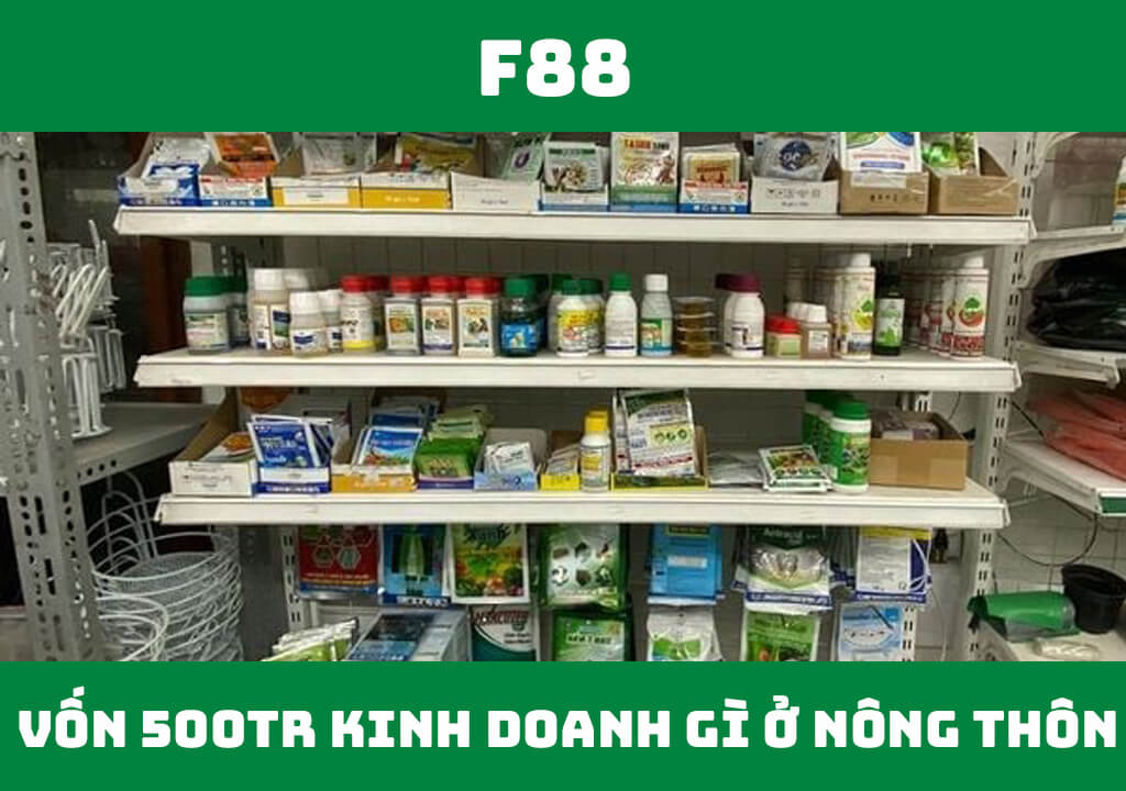 Vốn 500 triệu kinh doanh gì ở nông thôn?